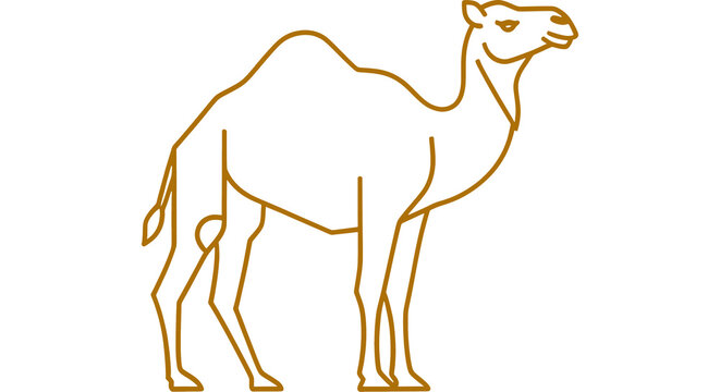 A minimalist camel vector, thin line art