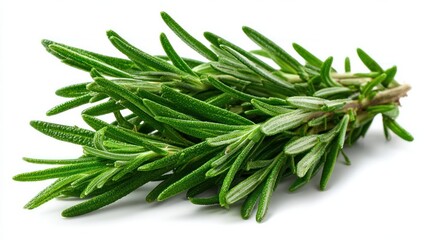 Fototapeta premium Green rosemary on white background. Smells nice.