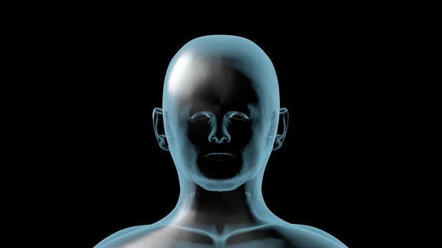 3d rendered illustration of a bald human skull and brain anatomy within a black mannequin robot head for a science art model