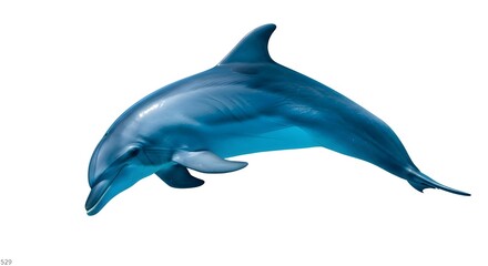 Obraz premium Graceful dolphin leaping out of the clear blue ocean waters isolated on white background
