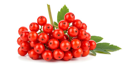 Obraz premium A vibrant cluster of red berries with green leaves on a white background isolated on white background