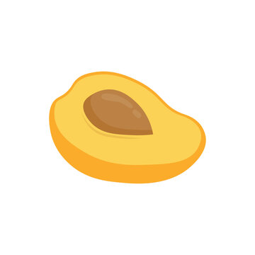 Mango Fruit Illustration
