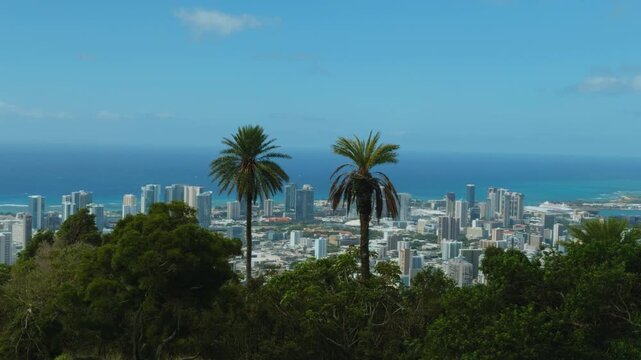 Tantalus Lookout - Puu Ualakaa State Park. City of Honolulu, Ohau, Hawaii.  Pacific Ocean. Phoenix dactylifera, commonly known as the date palm