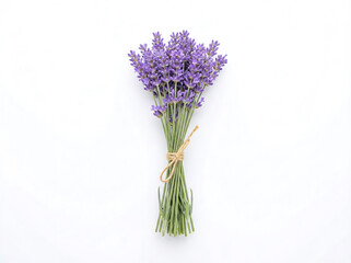 Fototapeta premium Elegant bouquet of fresh lavender flowers, tied with natural twine, beautifully presented on a clean white background, ideal for aromatherapy and decorative themes