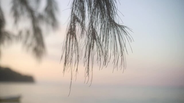 Tri Trang Beach, located near Patong Beach in Phuket Province, is a quiet and natural beach with rocky shores and clean white sand. uncrowded, making it ideal relaxation, picnics, and taking photos.