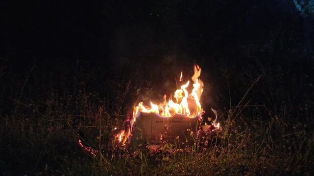 Cardboard box burning in a grassy outdoor area at night, with vivid flames illuminating tall grass and wildflowers. The fire creates a dramatic contrast against the dark foliage background.