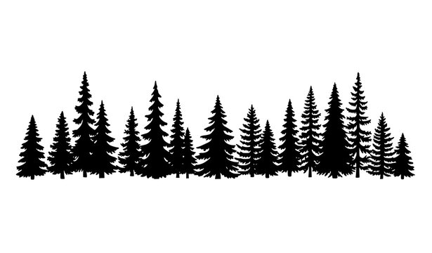 Hand drawn fir tree silhouette panorama with coniferous forest woodland vector background isolated on white
