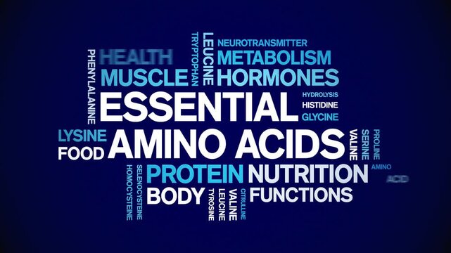 Essential Amino Acids animated word cloud-text design animation tag kinetic typography seamless loop.