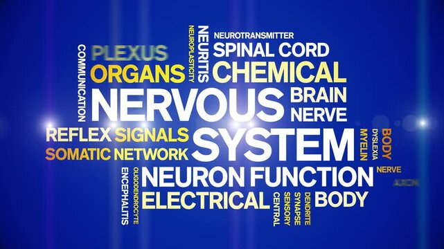 Nervous System animated word cloud-text design animation tag kinetic typography seamless loop.