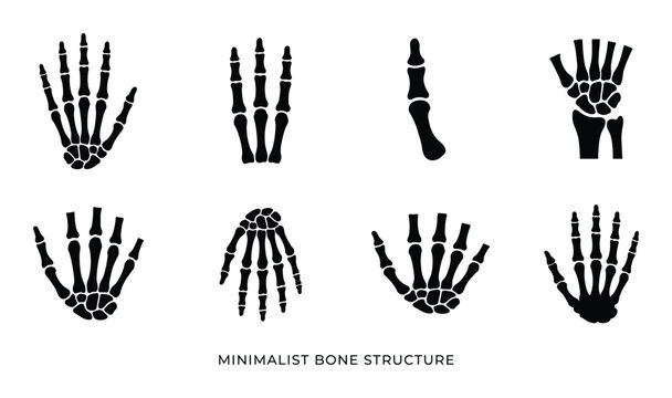 Set of minimalist bone structure icon in flat style isolated on transparent background