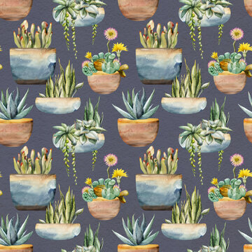 Rosette succulents, lithops flowers, sansevieria shoots, crassula in ceramic pots. Seamless botanical pattern hand drawn in watercolor. Fabric design, gift wrap, eco packaging, stationery backgrounds.