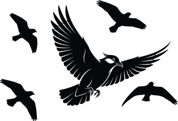 Naklejka premium Flying eagle silhouettes set with spread wings birds of prey vector illustration collection