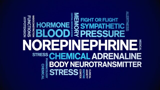 Norepinephrine animated word cloud-text design animation tag kinetic typography seamless loop.