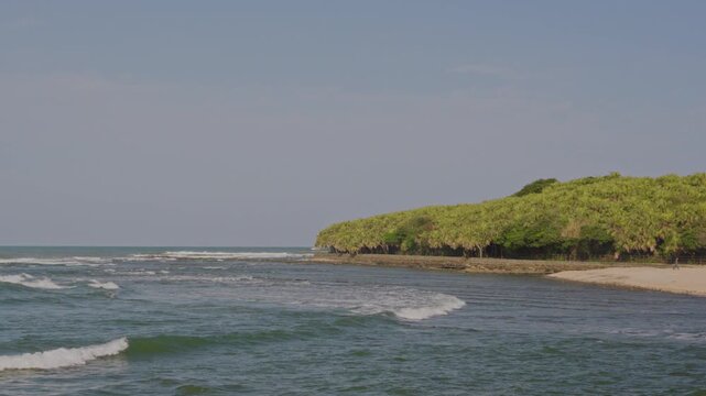 Hidden Tropical Paradise in Japan &ndash; Aoshima Island Miyazaki