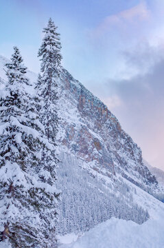 Snow-covered mountain landscape with pine trees and clear blue sky