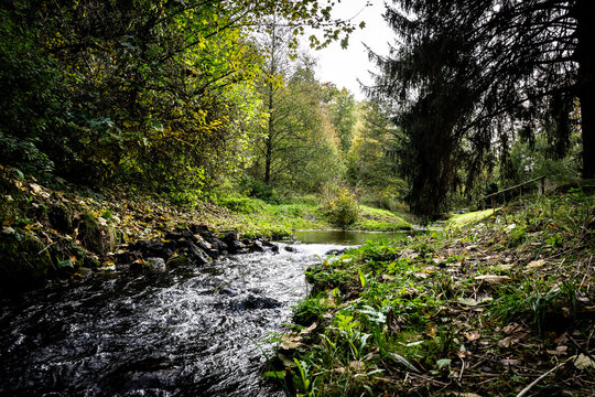 Bach im Wald bei G&uuml;ntersberge im Harz &ndash; Natur Landschaft