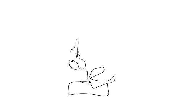 Animated self drawing of continuous line draw of  Doctor with Stethoscope in Line Art.  Full length one line animation. 4K	