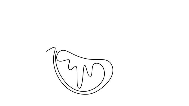 Animated self drawing of continuous line draw of  orange with a green leaf. Full length one line animation. 4K	