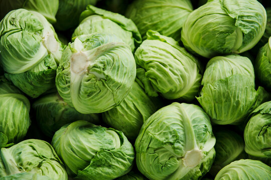 Green cabbage for sale at the farmers market 