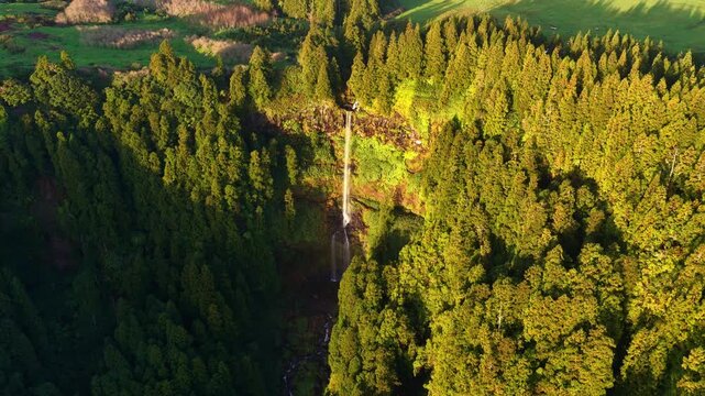 drone view of jungle waterfall on Azores, Portugal, aerial shot of Cascata do Grena on Sao Miguel, travel in the Azores, Portugal, at sunrise. Azores natural environment