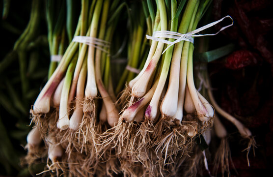 scallions also known as green onions for sale at the farmers market 