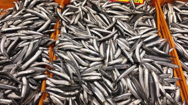 Freshly caught anchovies sparkling under market lights waiting to be purchased.