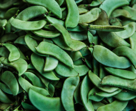 Fresh Lima beans, also known as butter beans or patani beans for sale at the farmers market 