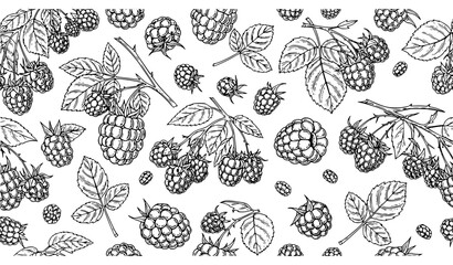 Hand drawn raspberry seamless pattern vintage engraved berry branches summer fruit vector © Mdsahag