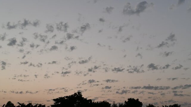 Wide view of scattered clouds across a soft evening sky with silhouettes of trees below. Ideal for timelapse concepts, weather patterns, calm atmosphere, and natural sky backgrounds.