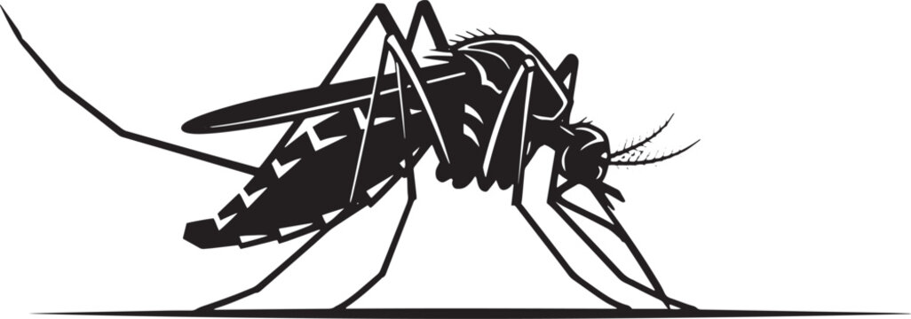 Detailed mosquito silhouette vector illustration showing side view of blood sucking insect with long legs and wings isolated on transparent backdrop