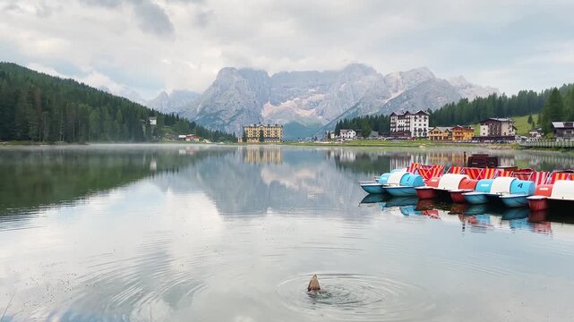 Colorful paddle boats moored at Lago di Misurina with a duck swimming in the foreground. Scenic summer vacation at a mountain lake in the Italian Dolomites, South Tyrol, Italy.