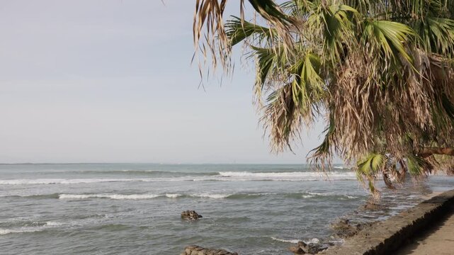 Hidden Tropical Paradise in Japan &ndash; Aoshima Island Miyazaki