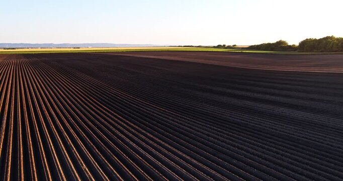 Aerial view of plowed field furrows at sunset
