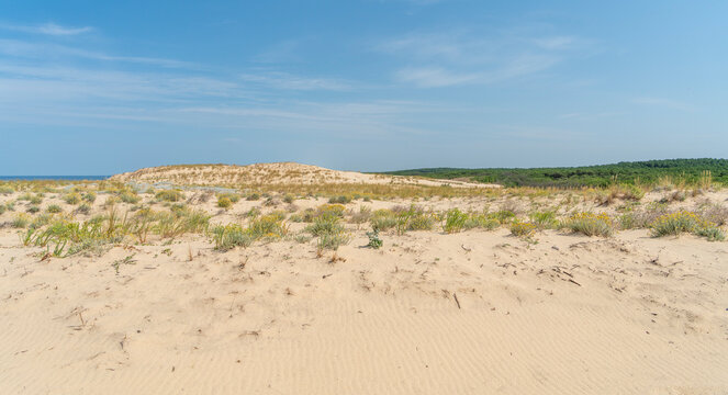 Le Porge Ocean