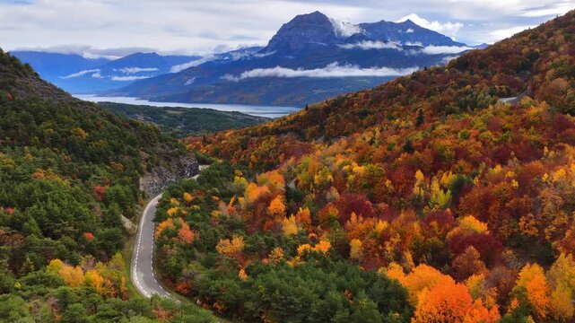 autumn colourful forest near lake Lac Serre-Poncon in France with orange, yellow and green foliage, tranquil seasonal landscape with natural colours