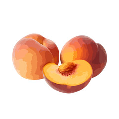Fototapeta premium A pair of fresh apricots with one cut in half to reveal its juicy pit isolated on white background, Vector