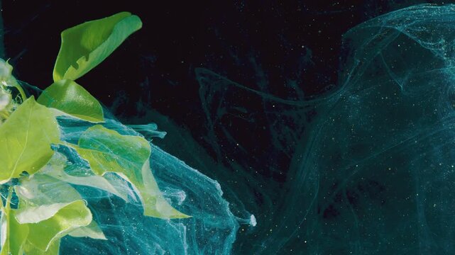 Underwater teal ink cloud wrapping around green leaves, dynamic fluid motion and deep contrast against dark background, studio art experiment