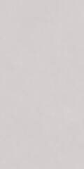 Obraz premium Plain light gray surface texture