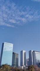 Fototapeta premium 日本の都市の風景 高層ビル群と青空