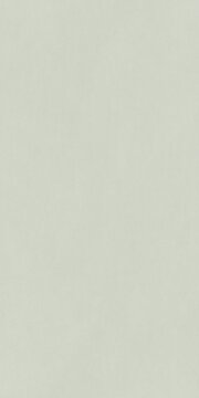 Plain light gray background