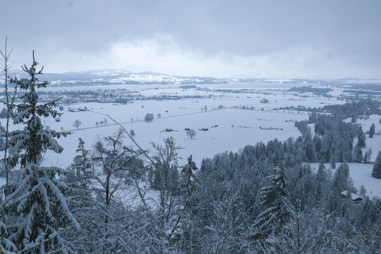Vast, serene winter landscape stretches across snow covered fields and forests under cloudy sky. scene is tranquil, with snow laden trees in foreground and distant hills fading into horizon