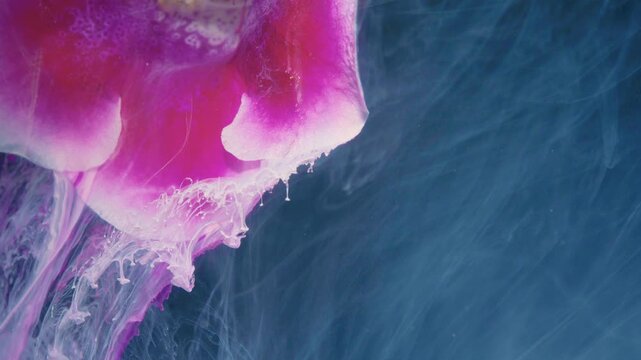 Pink jellyfish drifting in deep blue, translucent bell and trailing tentacle textures, bioluminescent glow and fluid motion, cinematic underwater