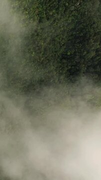Aerial view of dense green forest covering a mountainside in Banaue, Philippines. Vibrant tropical foliage creates a natural, untouched landscape.