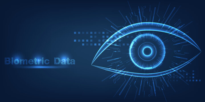 Vector illustration of eye biometrics data iris and retinal scanning.