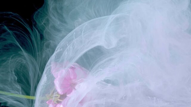 Pink blossom drifting through white smoke, petals partially concealed by misty veil, underwater slow motion capture, delicate textures and editorial