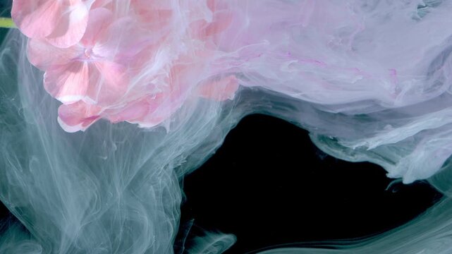 Petals riding soft swirling wave, milk like smoke curling around blossom, translucent veils and subtle color wash, macro composition with tranquil
