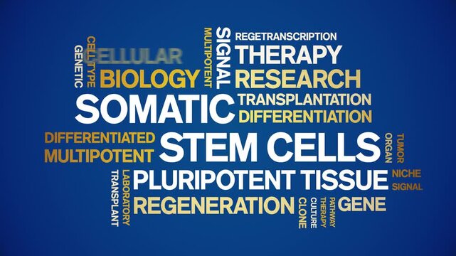 Somatic Stem Cells animated word cloud-text design animation tag kinetic typography seamless loop.