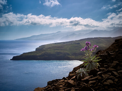 Madeira, Madera, Ilha da Madeira
- p&oacute;łwysep Świętego Wawrzyńca / Ponta de S&atilde;o Louren&ccedil;o