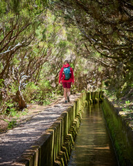 Madeira, Madera, Ilha da Madeira.  Levada do Alecrim, PR 6.2, levada, lewada © filozofgrecki