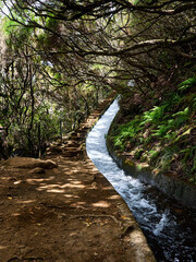 Madeira, Madera, Ilha da Madeira.  Levada do Alecrim, PR 6.2, levada, lewada © filozofgrecki